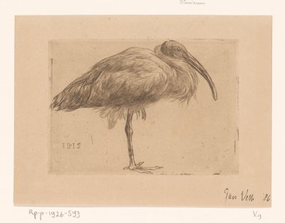 Ibis (original titel på objekt) af Jan Veth (signed by artist)