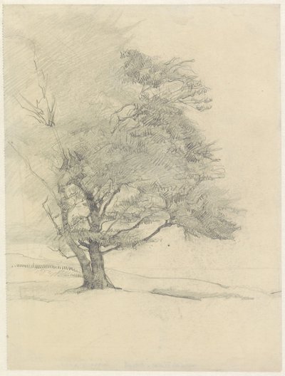  af Jan Veth