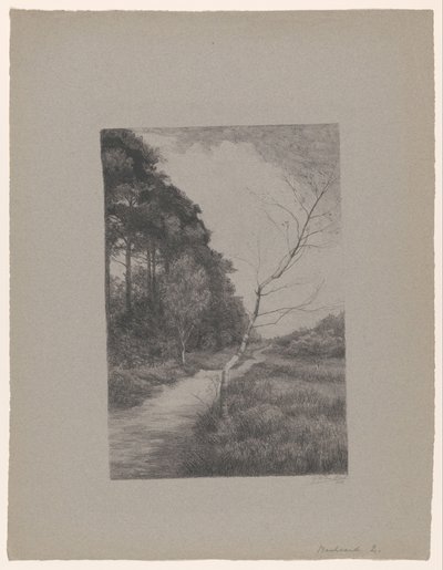  af Jan Veth