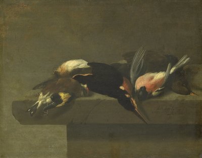 Døde Fugle af Jan Vonck