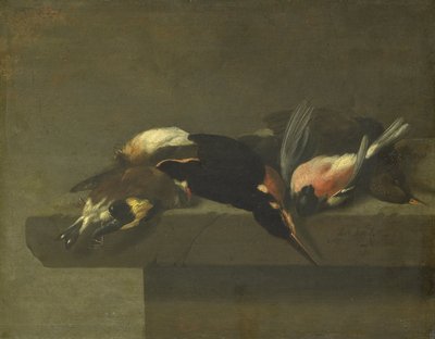 Døde fugle af Jan Vonck