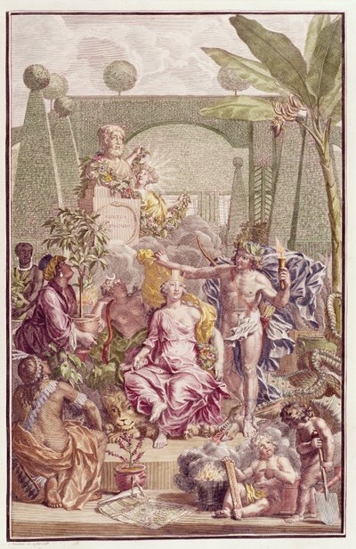 Frontispice af "Hortus Cliffortianus" af Carl Linnaeus (1707-78) af Jan Wandelaar