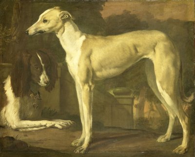 Portræt af en greyhound og en spaniel af Jan Weenix
