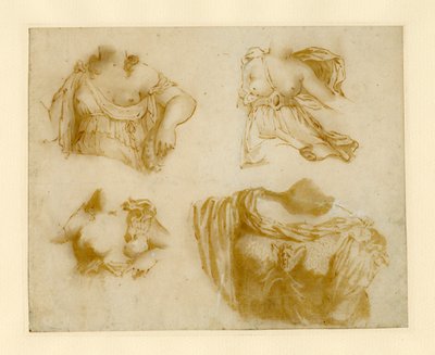 Fire studier af en draperet torso. af Jan de Bisschop