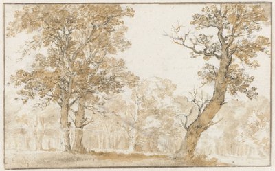 Haagskoven af Jan de Bisschop