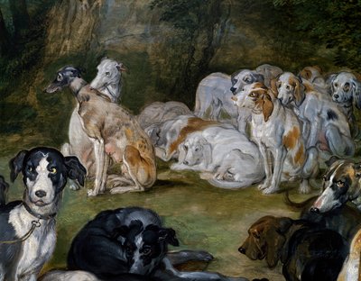 Hunde, detaljer fra Diana og Nymphs på tidspunktet for at forlade af Jan the Elder Brueghel