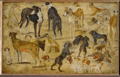 Tierstudien af Jan the Elder Brueghel