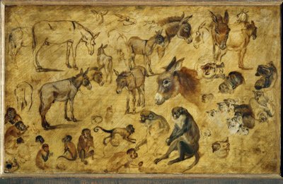 Tierstudien af Jan the Elder Brueghel