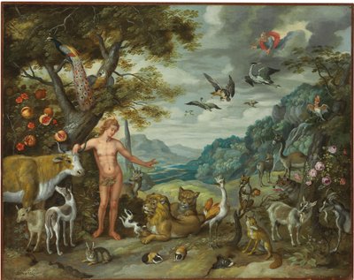 Adam navngiver dyrene, fra historien om Adam og Eva af Jan Brueghel the Younger