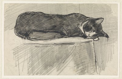sovende kat af Jan van Essen