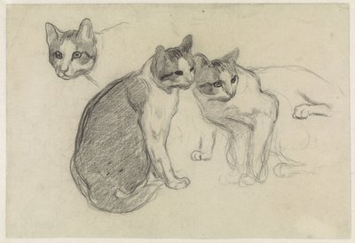 Studieark med katte af Jan van Essen