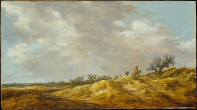  af Jan van Goyen