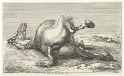 falden hest Dead Horses (serietitel) af Jan van Huchtenburg