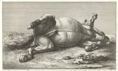 Død hest liggende på venstre side Dead Horses (serietitel) af Jan van Huchtenburg