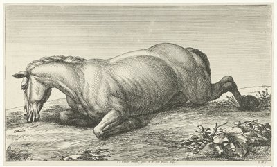 Død hest liggende på maven Dead Horses (serietitel) af Jan van Huchtenburg