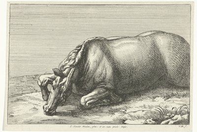 Død hest ses i venstre side Dead Horses (serietitel) af Jan van Huchtenburg