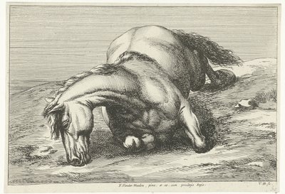 Død hest liggende på højre side Dead Horses (serietitel) af Jan van Huchtenburg