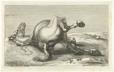 Faldet hest set bagfra Dead Horses (serietitel) af Jan van Huchtenburg