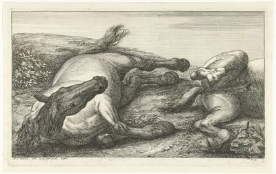 To faldne heste, den venstre set forfra Dead Horses (serietitel) af Jan van Huchtenburg