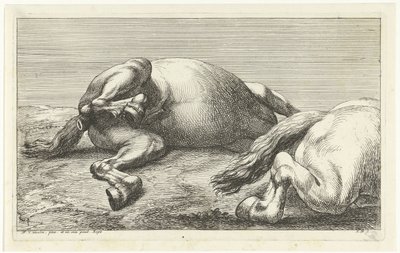 To faldne heste, den højre set fra siden Dead Horses (serietitel) af Jan van Huchtenburg