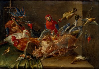 Dekorativ stillebenskomposition med fugle og to flagermus, midten af 1600-tallet af Jan van Kessel
