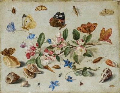 Blomster og insekter, slutningen af 1650