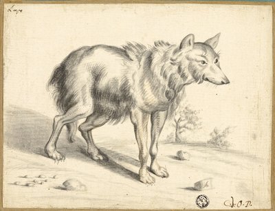Ulv af Jan van Os