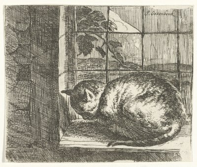 Kat i vinduesrammen af Jan van Ossenbeeck