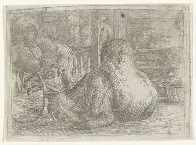 Liggende kamel af Jan van Ossenbeeck