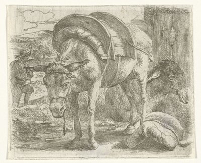 Pakezel af Jan van Ossenbeeck