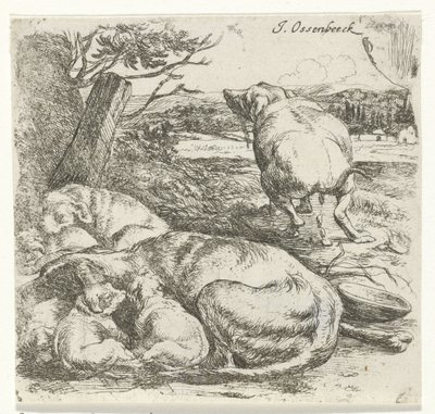 Tæve med hvalpe af Jan van Ossenbeeck
