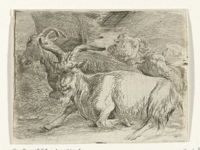 To geder og to får af Jan van Ossenbeeck