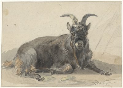 Liggende sort ged af Jan van Ravenswaay