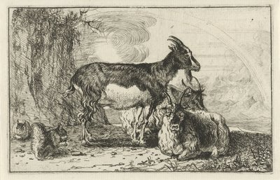 geder Dyr (serietitel) Zoographiam (serietitel) af Jan van den Hecke