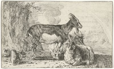 geder Dyr (serietitel) Zoographiam (serietitel) af Jan van den Hecke