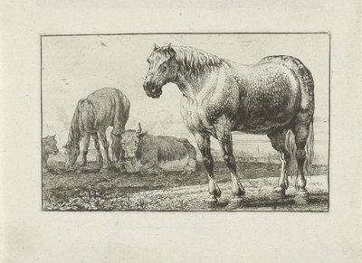 Heste og køer Dyr (serietitel) Zoographiam (serietitel) af Jan van den Hecke