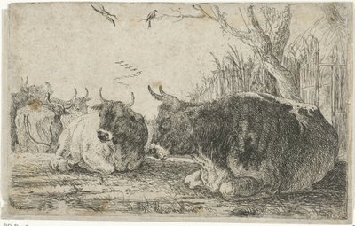 hvilende køer Dyr (serietitel) Zoographiam (serietitel) af Jan van den Hecke