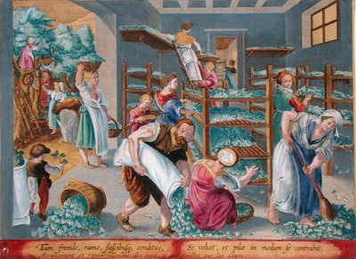 Kvinder, der fylder hylder med morbærblade til silkeormene, planche 5 fra "Vermis Sericus" (Silkeormen), graveret af Philip Galle (1537-1612) (stik) af Jan van der Straet
