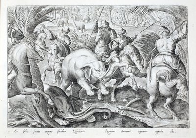 Elefanter larmer, når de bliver ramt af jægers spyd, illustration fra 