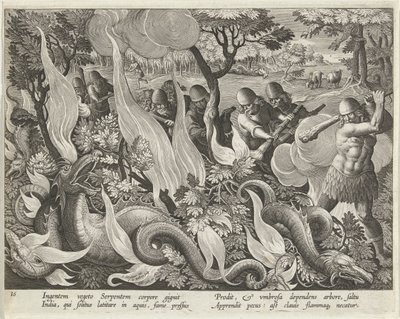 At fange slanger i Indien ved hjælp af køller og fakler til at tænde underskoven, pub. 1640 gravering. af Jan van der Straet