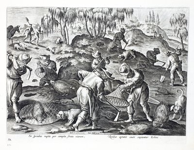 Udgravning og indfangning af pindsvin, planche 54, illustration fra "Venationes, Ferarum, Avium, Piscium" (Om jagt: vilde dyr, fugle, fisk), graveret af Jan Collaert (1566-1628), udgivet af Phillipus af Jan van der Straet