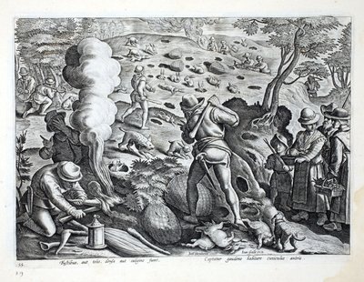 Jagtkaniner, illustration fra 
