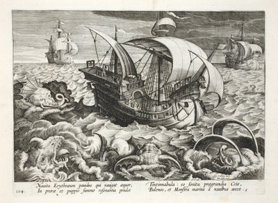 Hunting Sea Creatures, plade 84, illustration fra 