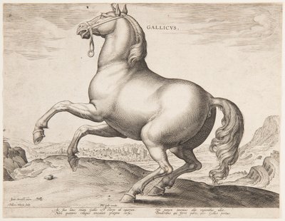 En fransk hest, fra det første sæt af "Equile Joannis Austriaci" af Jan van der Straet, called Stradanus