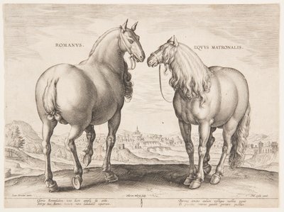 En romersk hest, fra det første sæt af "Equile Joannis Austriaci" af Jan van der Straet, called Stradanus