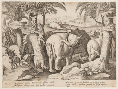 Cavemen Chasing Elephants, tallerken 3 fra Hunting of Wild Animals, Birds and Fish-serien af Jan van der Straet, called Stradanus