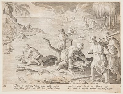 Krokodillejagt i Tentyra, i Egypten, tallerken 30 fra Hunts of Wild Animals, Birds and Fish-serien af Jan van der Straet, called Stradanus