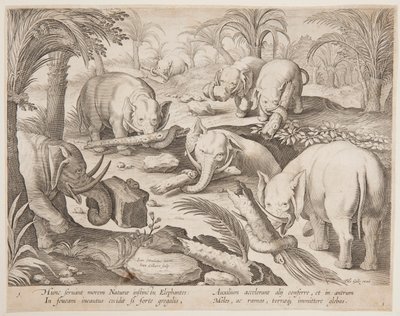 Elefanter holder hinanden ud af en fælde, tallerken 1 fra Game of Animals, Birds and Fish-serien af Jan van der Straet, called Stradanus