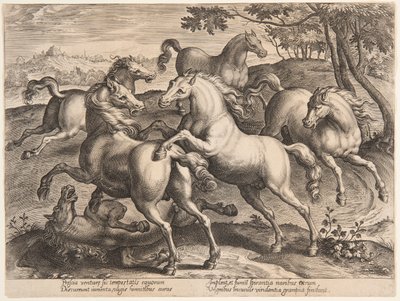 Fighting Horses, fra det fjerde sæt af "Equile Joannis Austriaci" af Jan van der Straet, called Stradanus