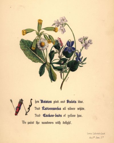 Tusindfryd, violer, dameskjorter og gøgeurter af Jane Elizabeth Giraud